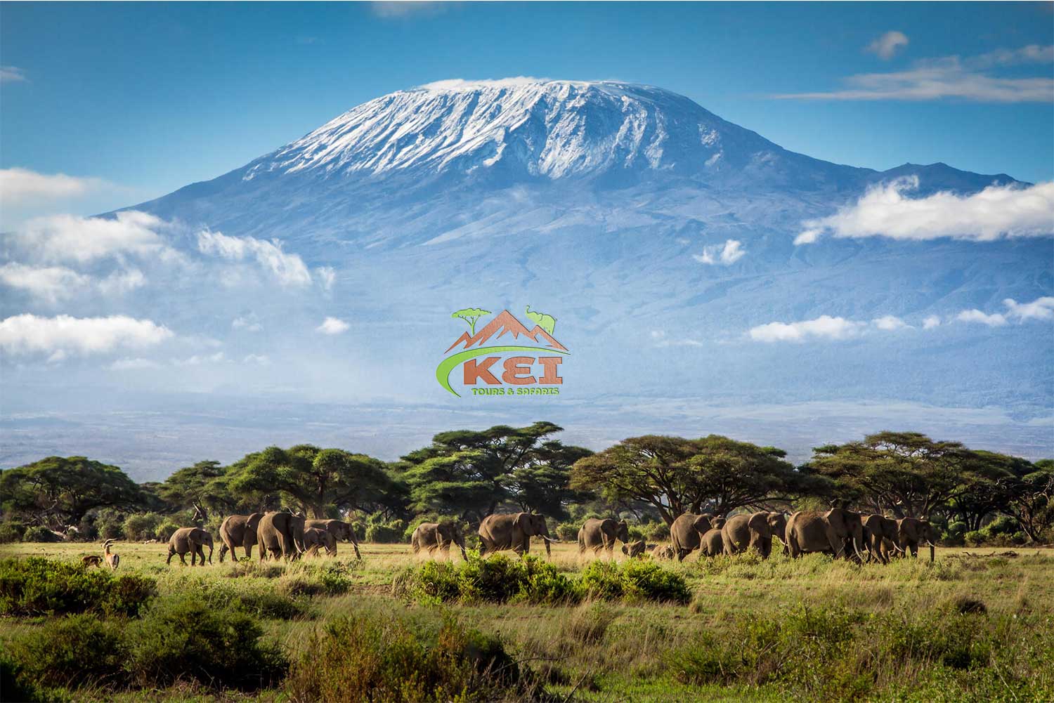 Kei Tours and Safaris, Mount Kilimanjaro Overivew